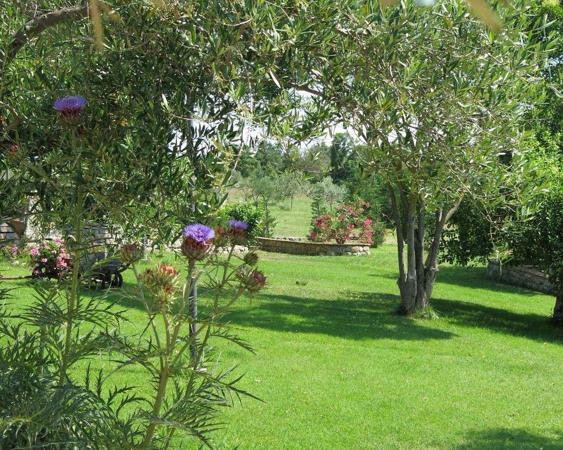 Fonte Magia Bed & Breakfast Castel de' Fiori Luaran gambar