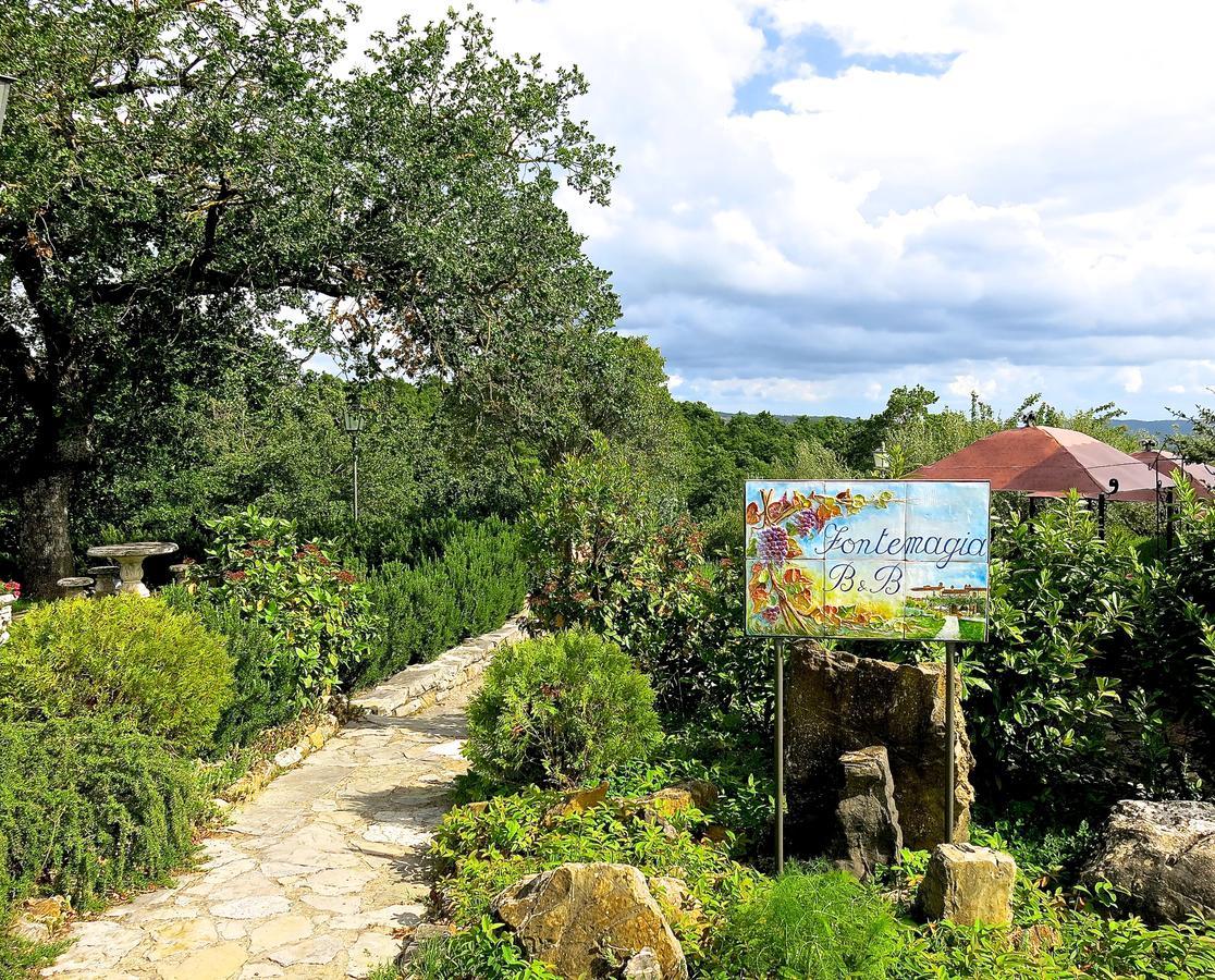 Fonte Magia Bed & Breakfast Castel de' Fiori Luaran gambar