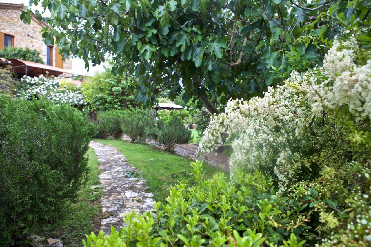 Fonte Magia Bed & Breakfast Castel de' Fiori Luaran gambar